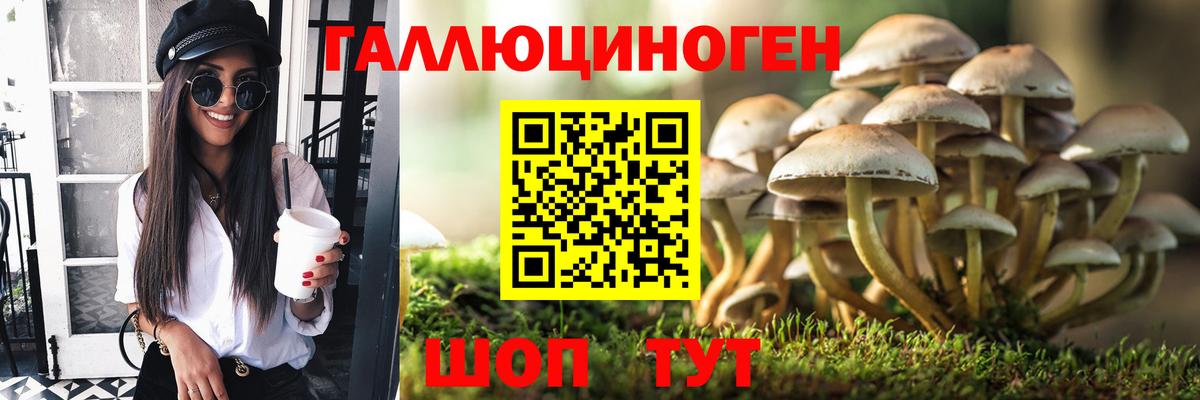 Галлюциногенные грибы MAGIC MUSHROOMS Татарск